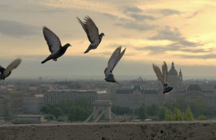 Budapest Cityscape