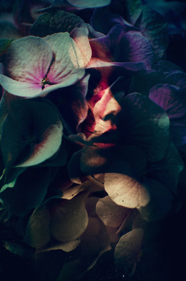 Double Exposure of Flowers by Lara Kiosses