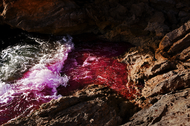 Dramatic Ocean Waves Crash  14