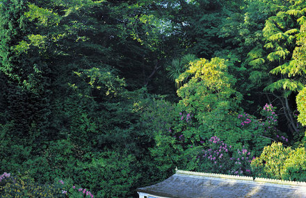 View From An Upper Window Series