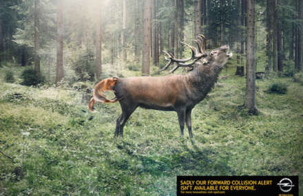 Opel – Animal Collision Campaign