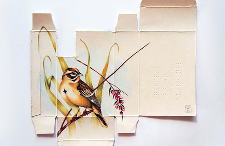 Birds Illustrations on Pharmaceutical Boxes