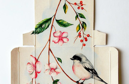 Birds Illustrations on Pharmaceutical Boxes
