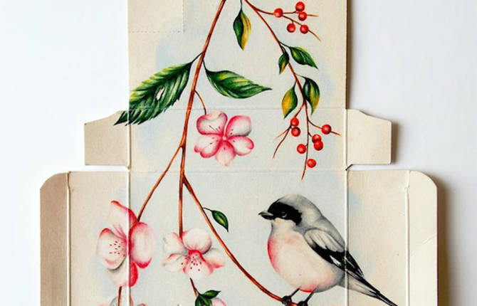 Birds Illustrations on Pharmaceutical Boxes