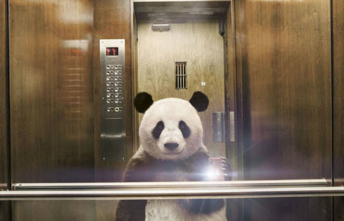 Selfie by National Geographic