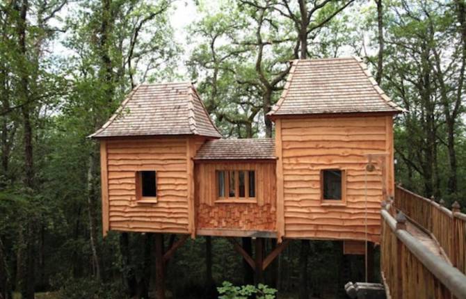 The Coolest Tree House