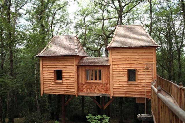 The Coolest Tree House 2
