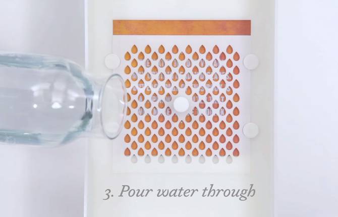 Water Life Drinkable Book