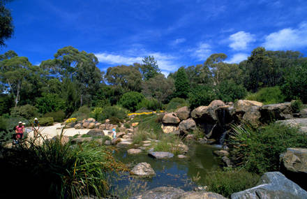 The Most Beautiful Botanic Gardens in Australia
