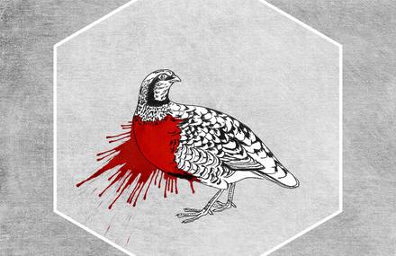 THE BIRDS