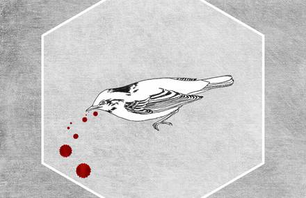 THE BIRDS