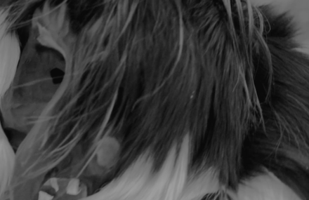 Metzger & Bauer – Cut the Rope (video clip)