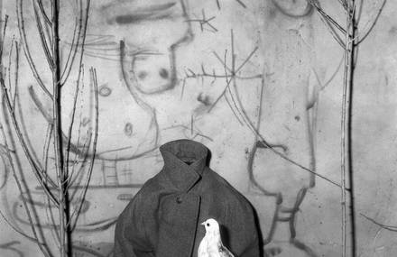 Roger Ballen´s asylum of the birds.