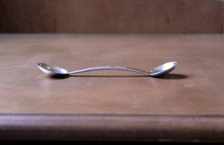 The Double Headed Spoon