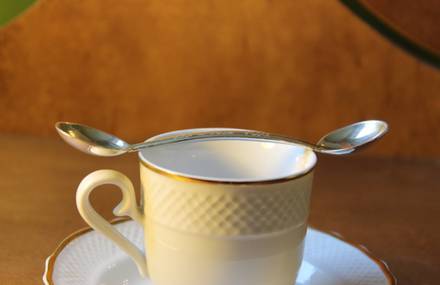 The Double Headed Spoon