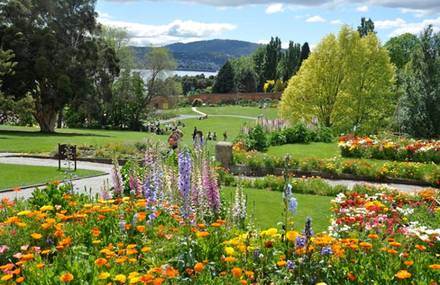 The Most Beautiful Botanic Gardens in Australia