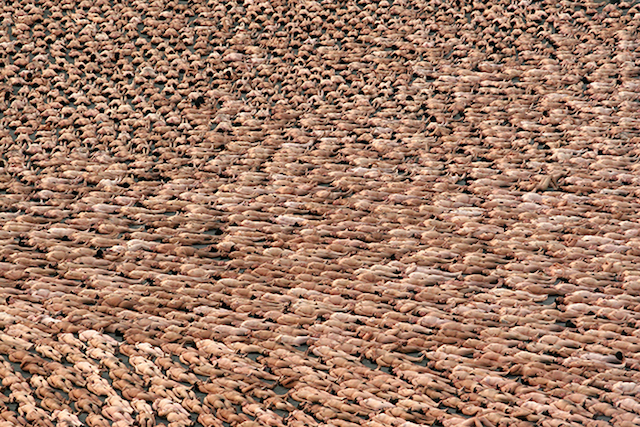 spencertunick-3