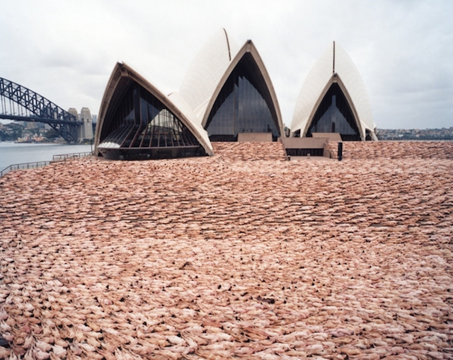 spencertunick-4