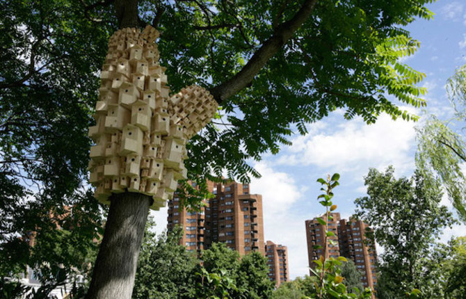 Bunches of Birdhouses Wrapped Around Trees