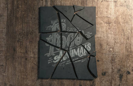 The Bible of Barbecue