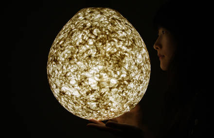 Mao & Piu, Paper Lighting