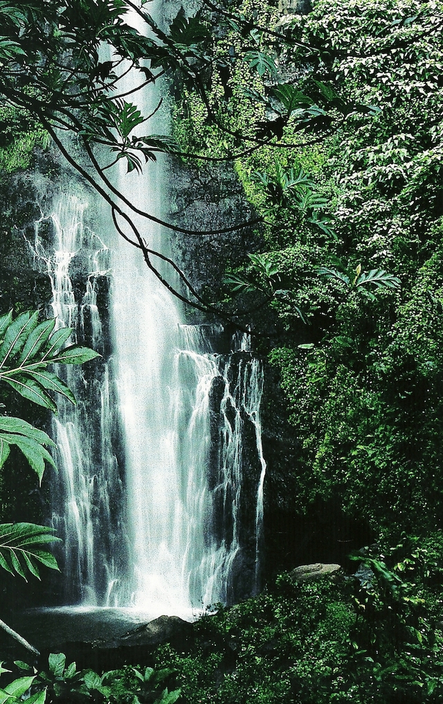 2-Wailua Falls in Hawaii-Sept1995
