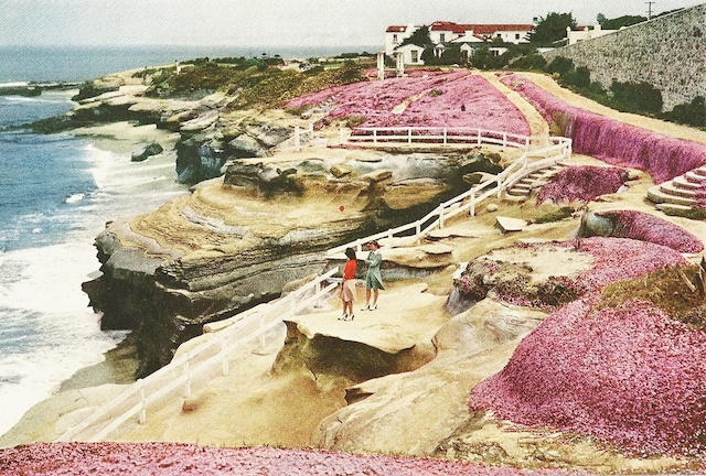 47-La Jollas Cliffs in San Diego-CA-Jan1942