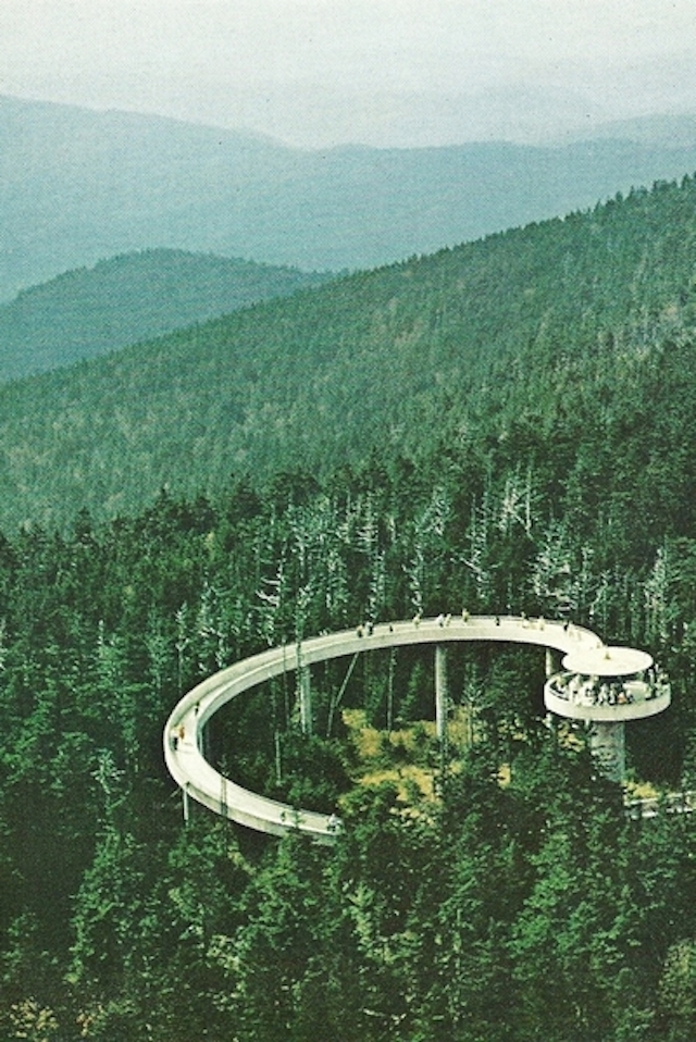 57-Observation on Clingmans Dome in North Carolina-May1970