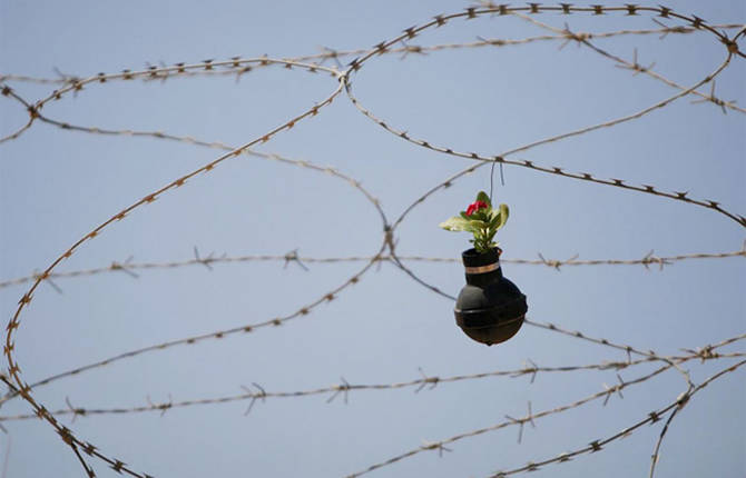 Flowers Grown Inside Grenades