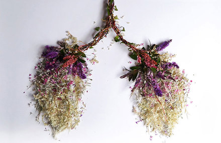 Human Organs from Plants and Flowers