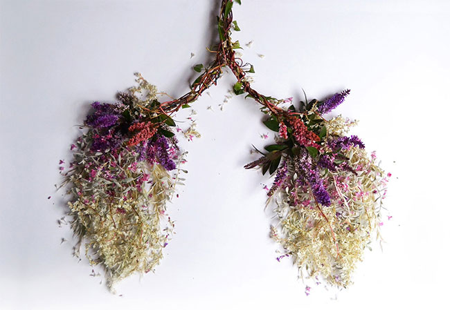 Human Organs from Plants and Flowers1