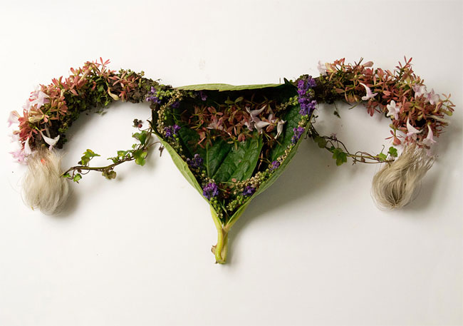 Human Organs from Plants and Flowers6
