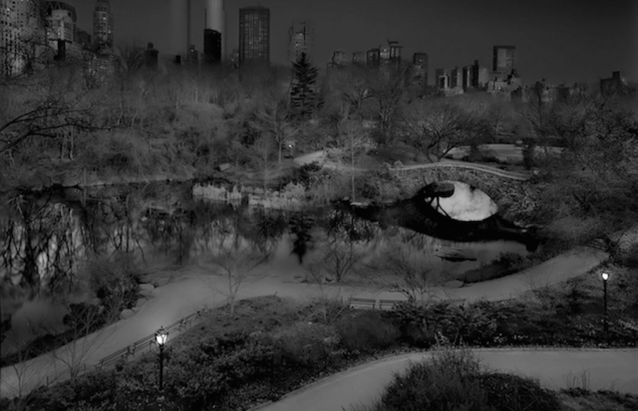 Black And White Landscapes of Central Park