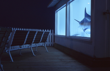 Patrick Joust Photography