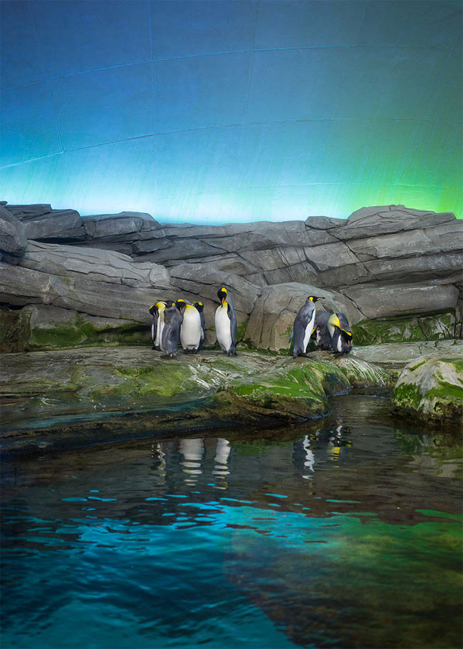 Sad Images at Berlin Zoo2