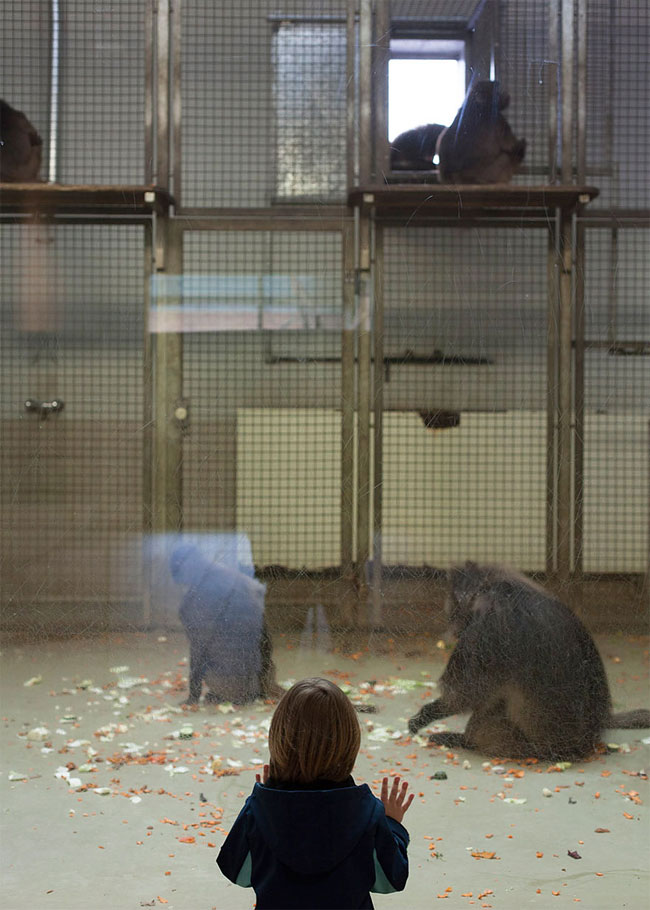 Sad Images at Berlin Zoo5