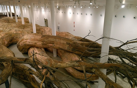 Wooden Tunnels Installation