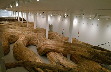 Wooden Tunnels Installation