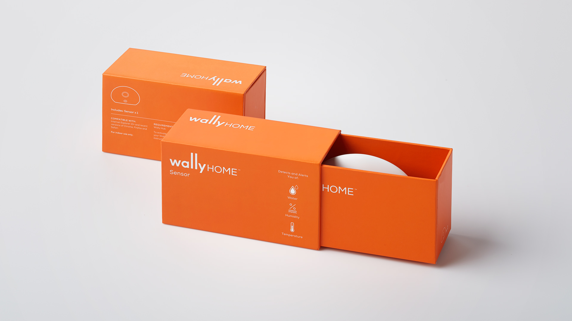 Wally Identity6