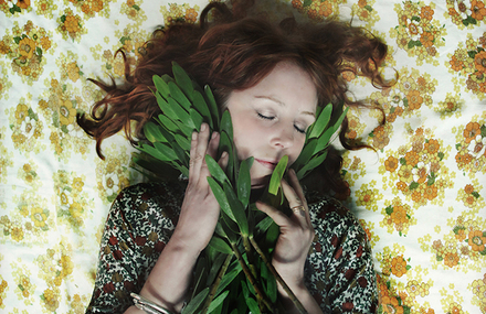 Flowers Reveries Portraits