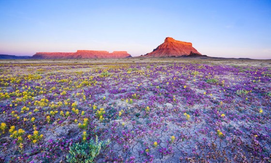 Desert’s Spectacular Colors – Fubiz Media
