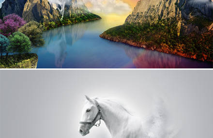 Horse Series