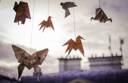 Moshii – Créations en origami