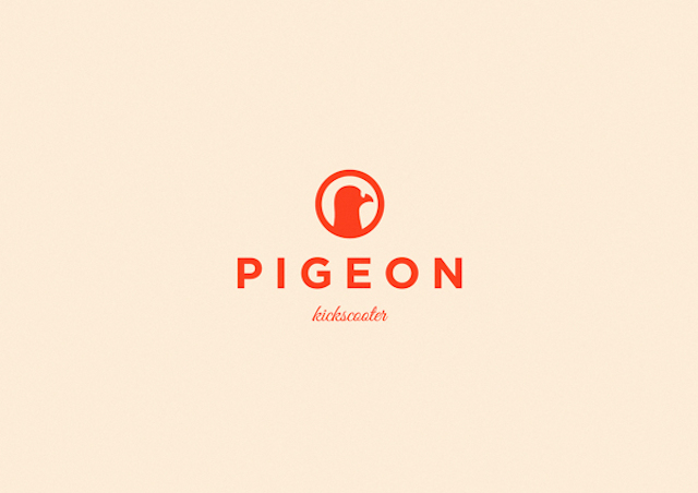 pigeon-30