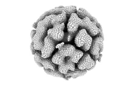 Seething / Cellular Forms