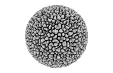 Seething / Cellular Forms