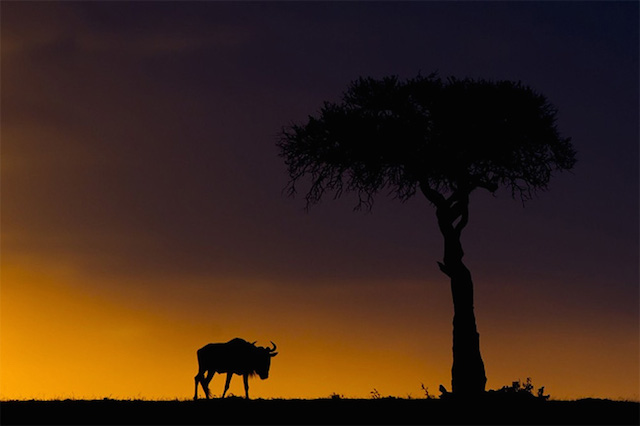 sunsetmasaimara-11