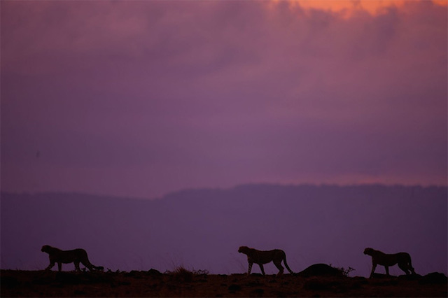 sunsetmasaimara-25