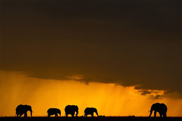 sunsetmasaimara-4