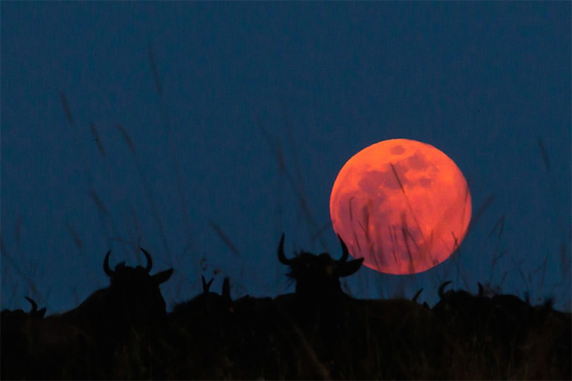 sunsetmasaimara-6